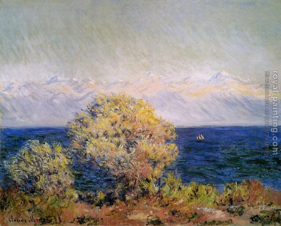 Claude Oscar Monet : At Cap d'Antibes, Mistral Wind